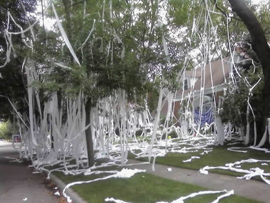 House Toilet Papered